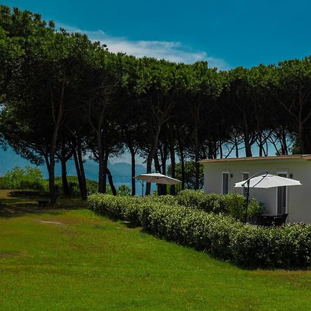Bosco Mattavona Bed & Breakfast Boscotrecase Exterior foto