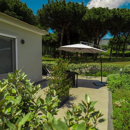 Bosco Mattavona Bed & Breakfast Boscotrecase Exterior foto