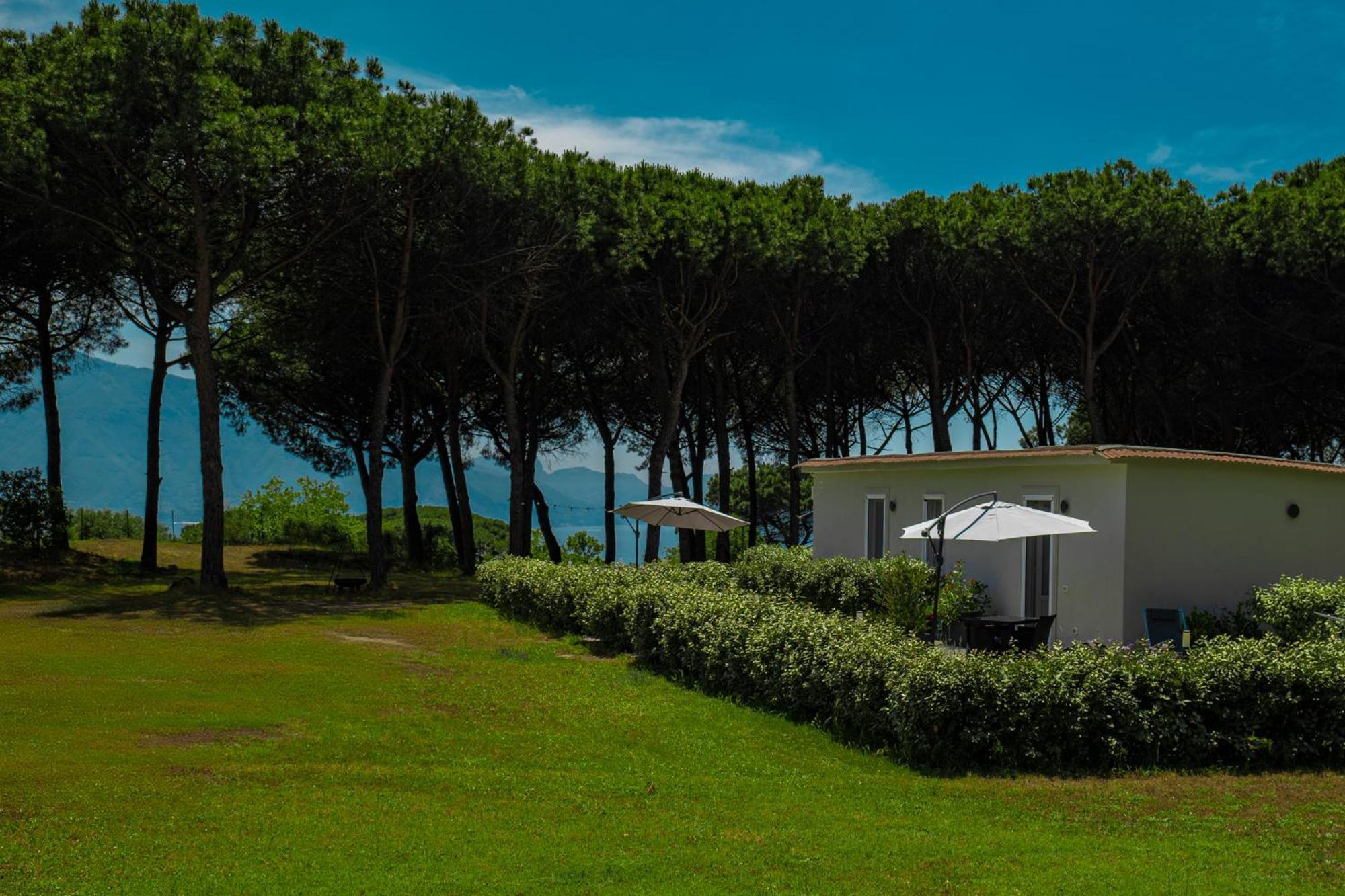 Bosco Mattavona Bed & Breakfast Boscotrecase Exterior foto