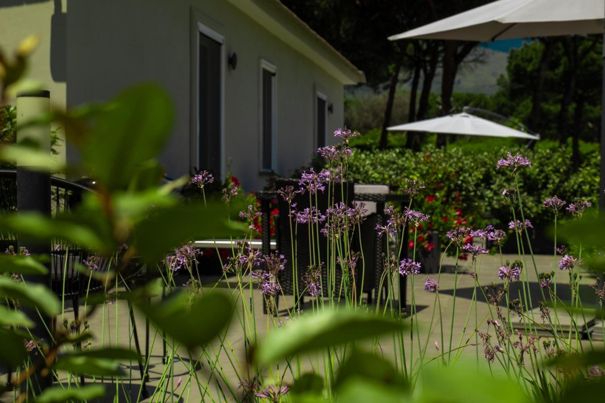Bosco Mattavona Bed & Breakfast Boscotrecase Exterior foto